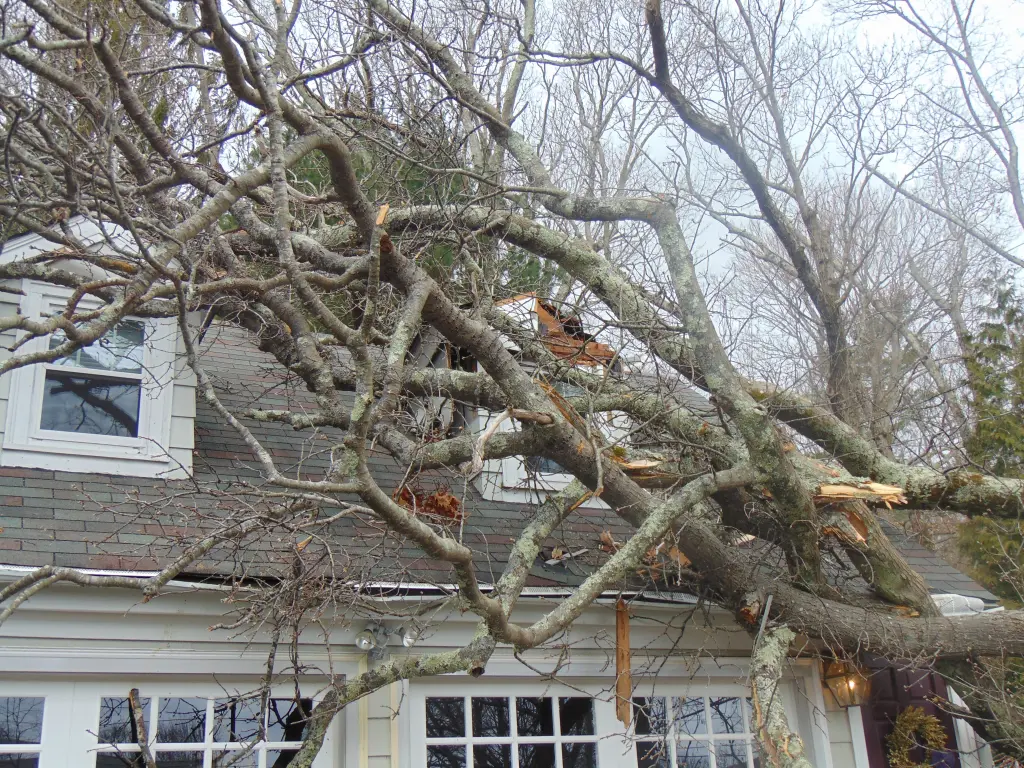 storm damage in warwick