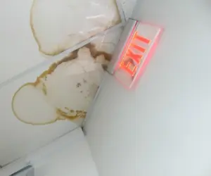 water marks in a ceiling from a leaking roof