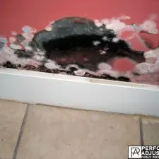 do you have mold damage? Mold damage restoration in central falls, ri