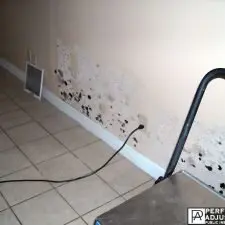 mold damage in Barrington, RI let a public adjuster in Barrington, RI help you!