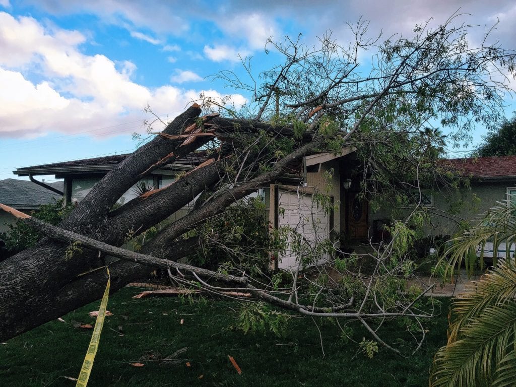 storm damage public adjuster in RI