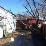 tree damage from wind storm in rhode island