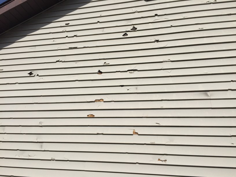 check the exterior of your home for vinyl siding damage ri