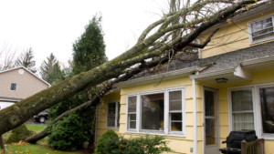 fallen tree on a yellow house in rhode island