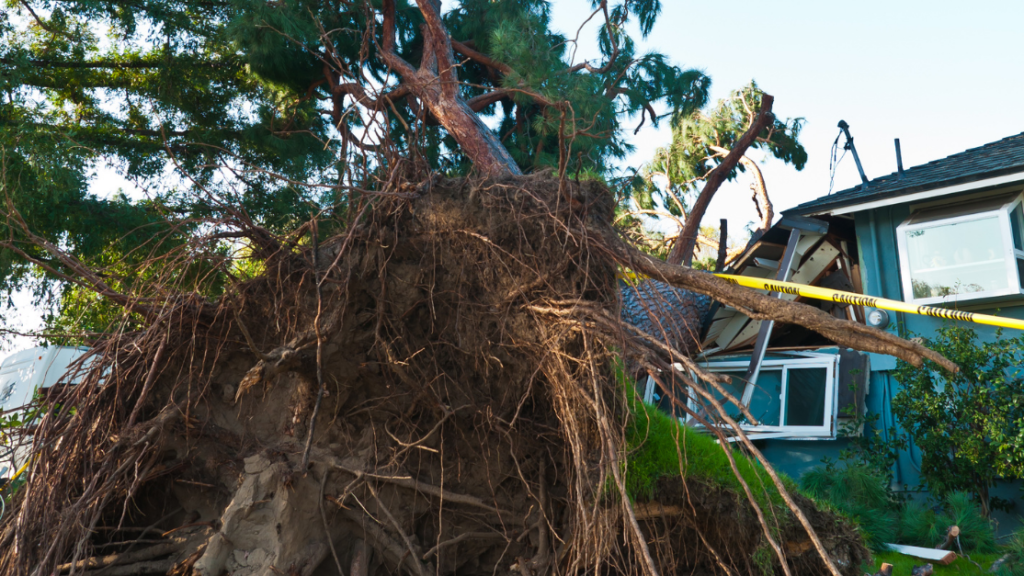 home in rhode island damaged by fallen tree