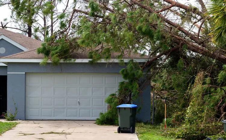 A fallen tree that is leaning against a house